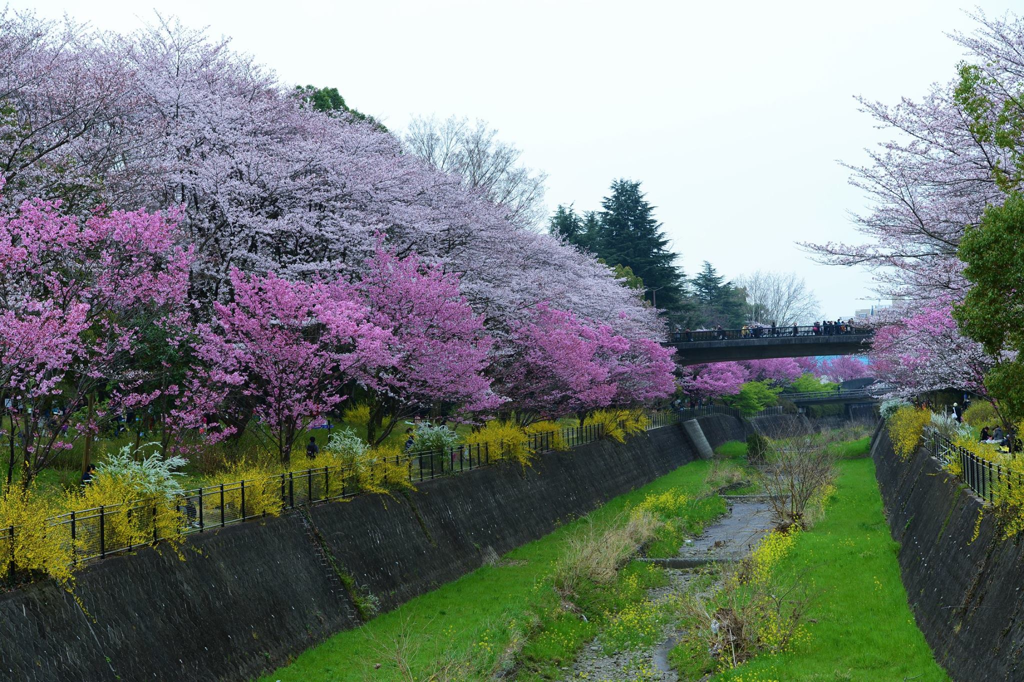 16804092_1743289939333330_6261961378153818434_o