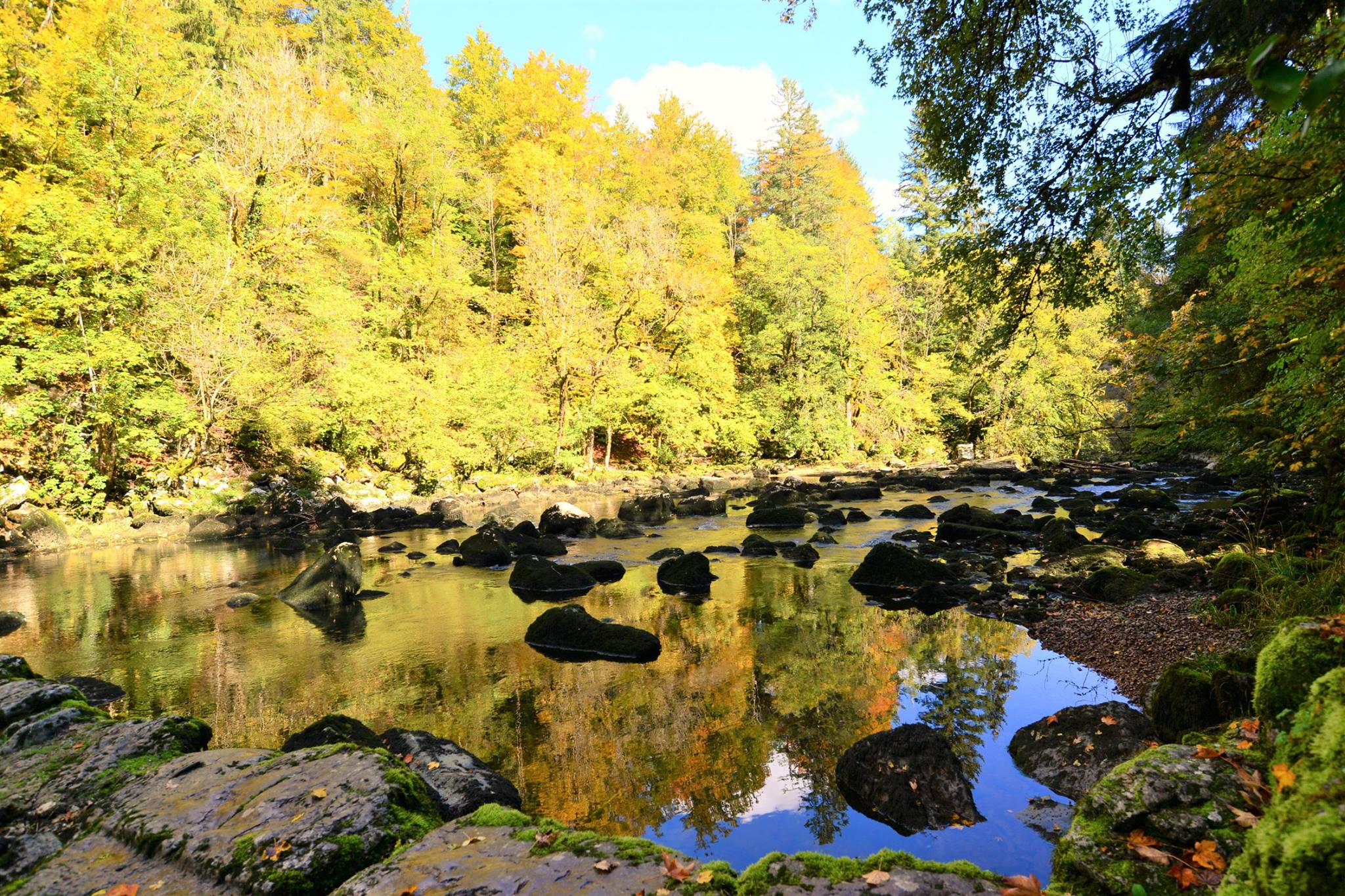 16804399_1743803602615297_7987335396823169819_o