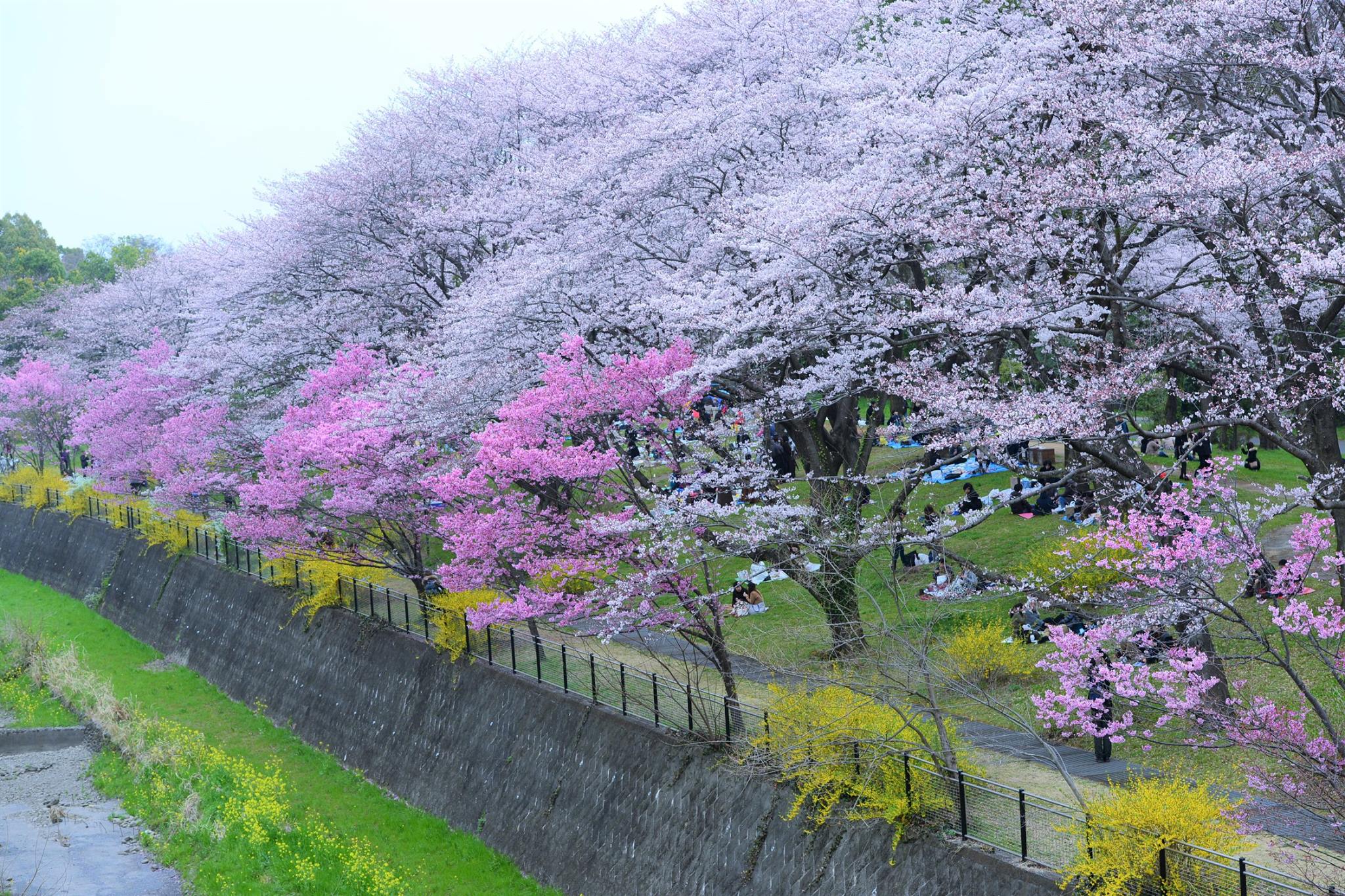 16819223_1743289955999995_7678992951742366545_o