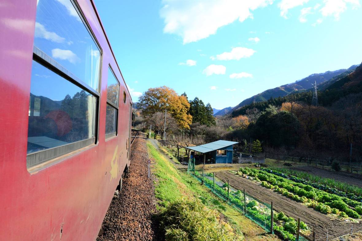 16819449_1744894152506242_7316846746460499779_o