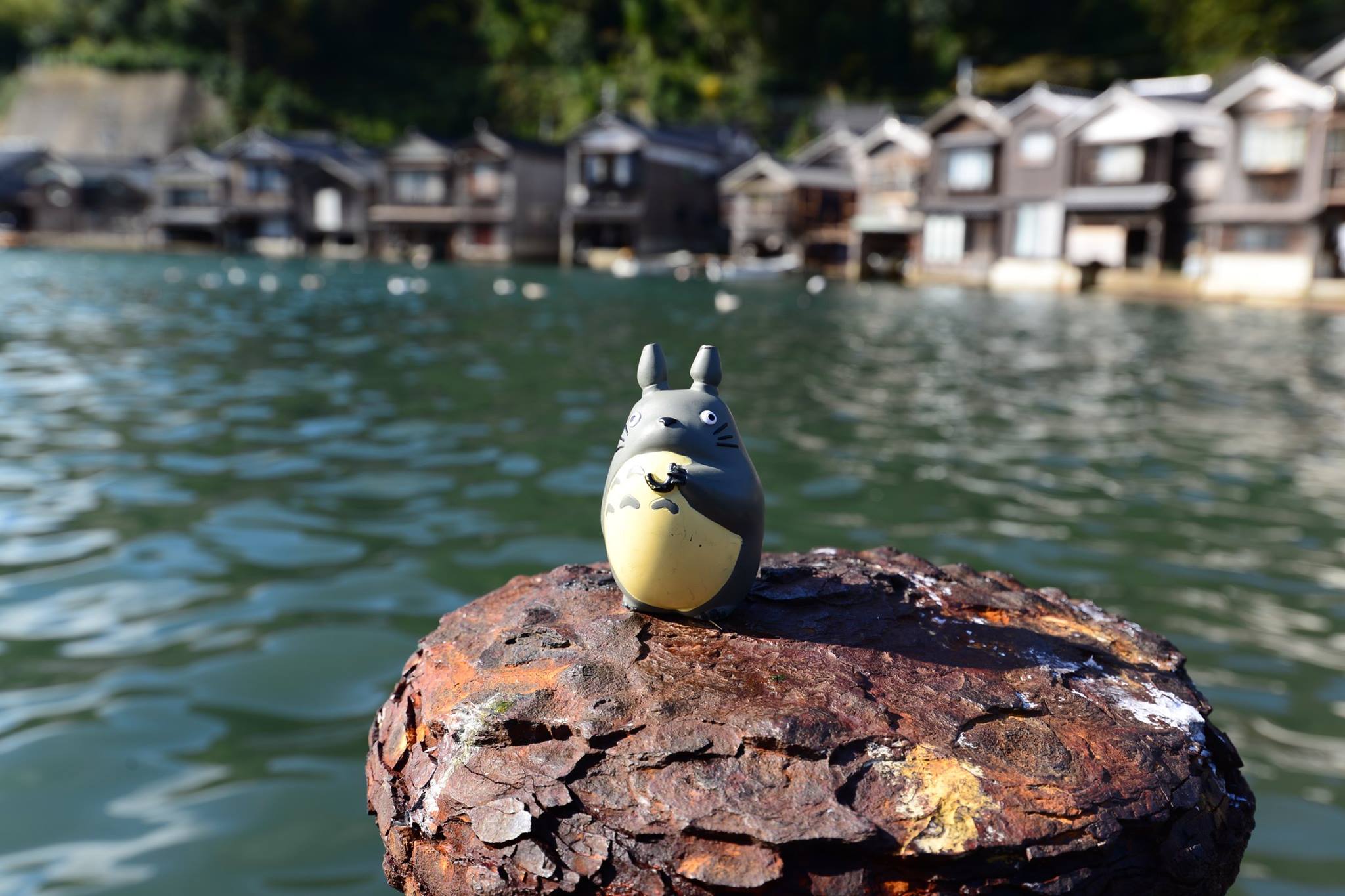 16819450_1744310632564594_3848001549103607438_o