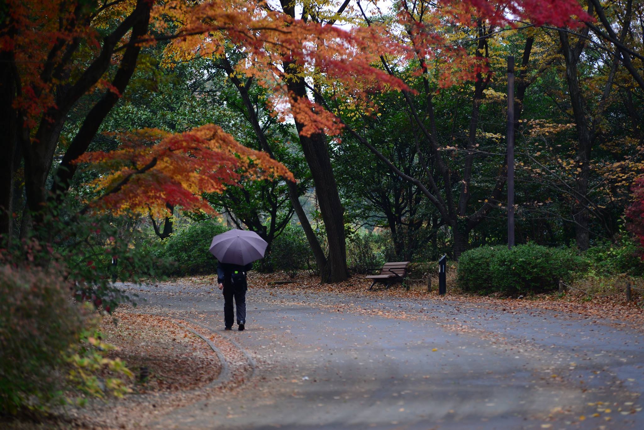 16826157_1743289492666708_1125233003318161337_o