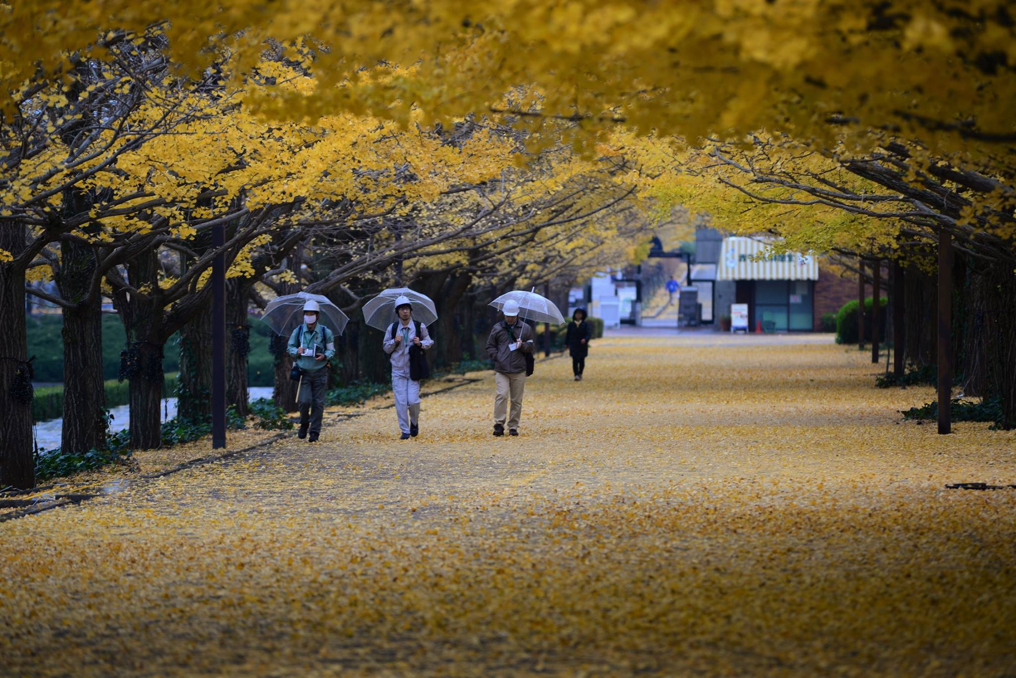 16835762_1743289442666713_5734837809717641900_o