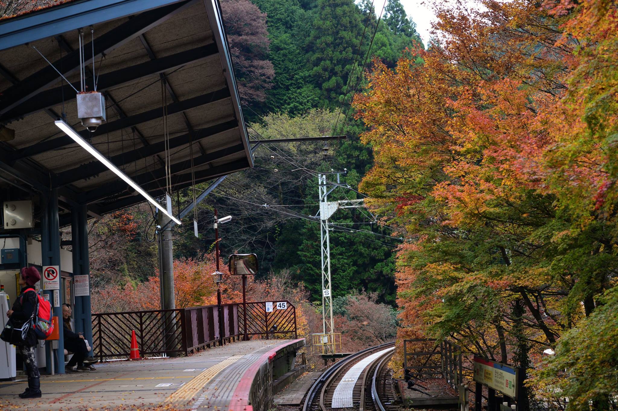 16835763_1745844105744580_7366960998129711551_o