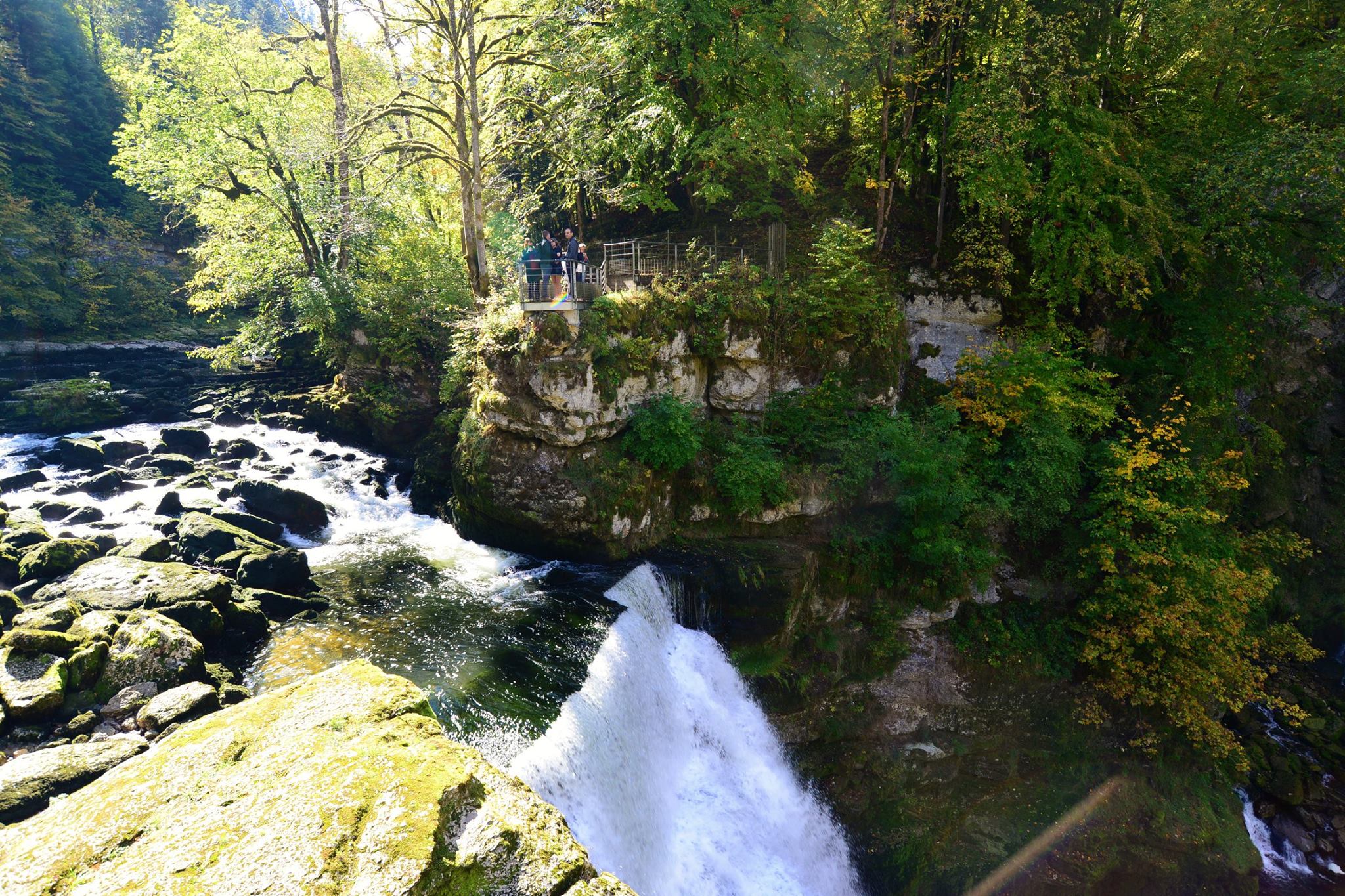 16835841_1743803589281965_7339546737173722125_o