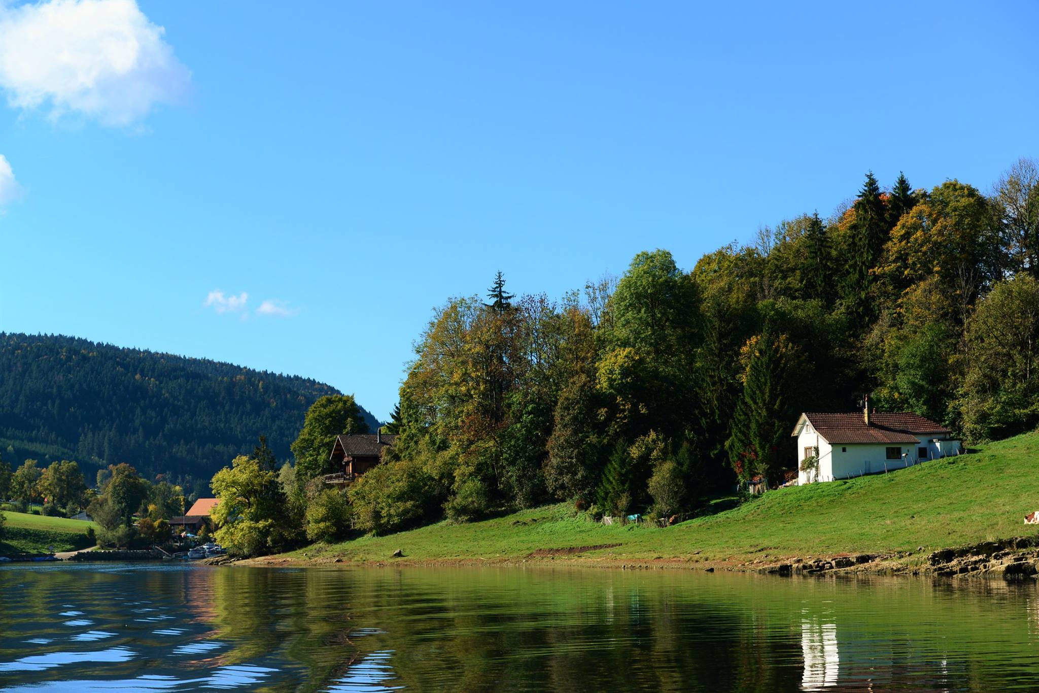 16836038_1743803389281985_1875383871616006694_o