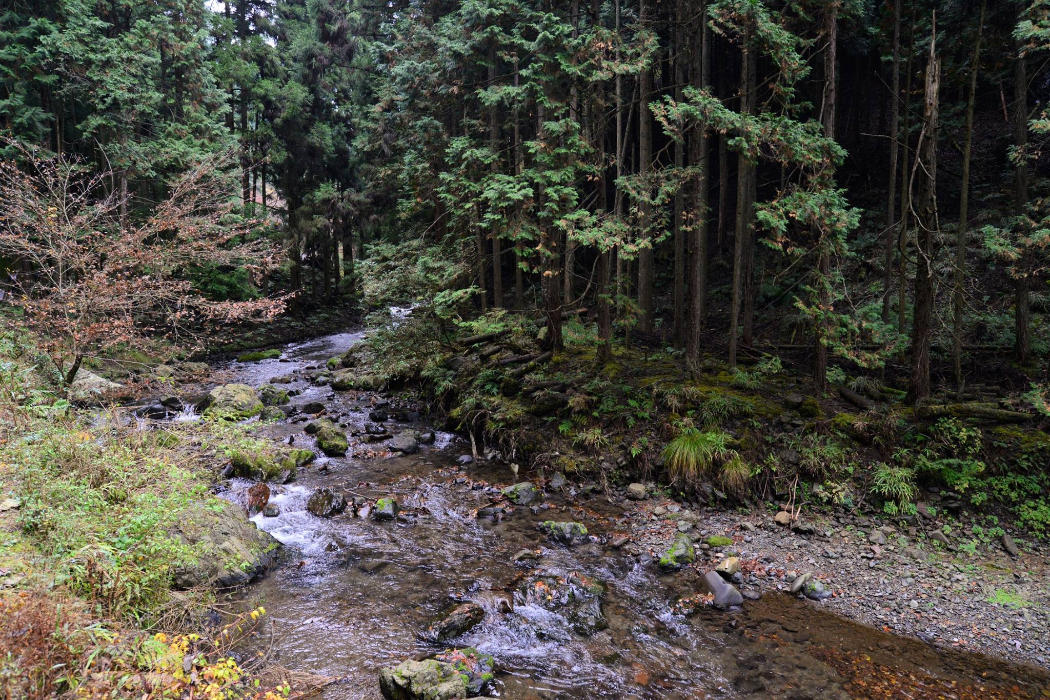 16836260_1745843309077993_3417771181375654445_o