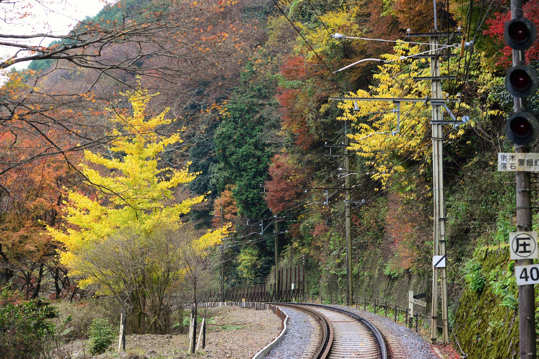 16836504_1745844115744579_727621644423846788_o