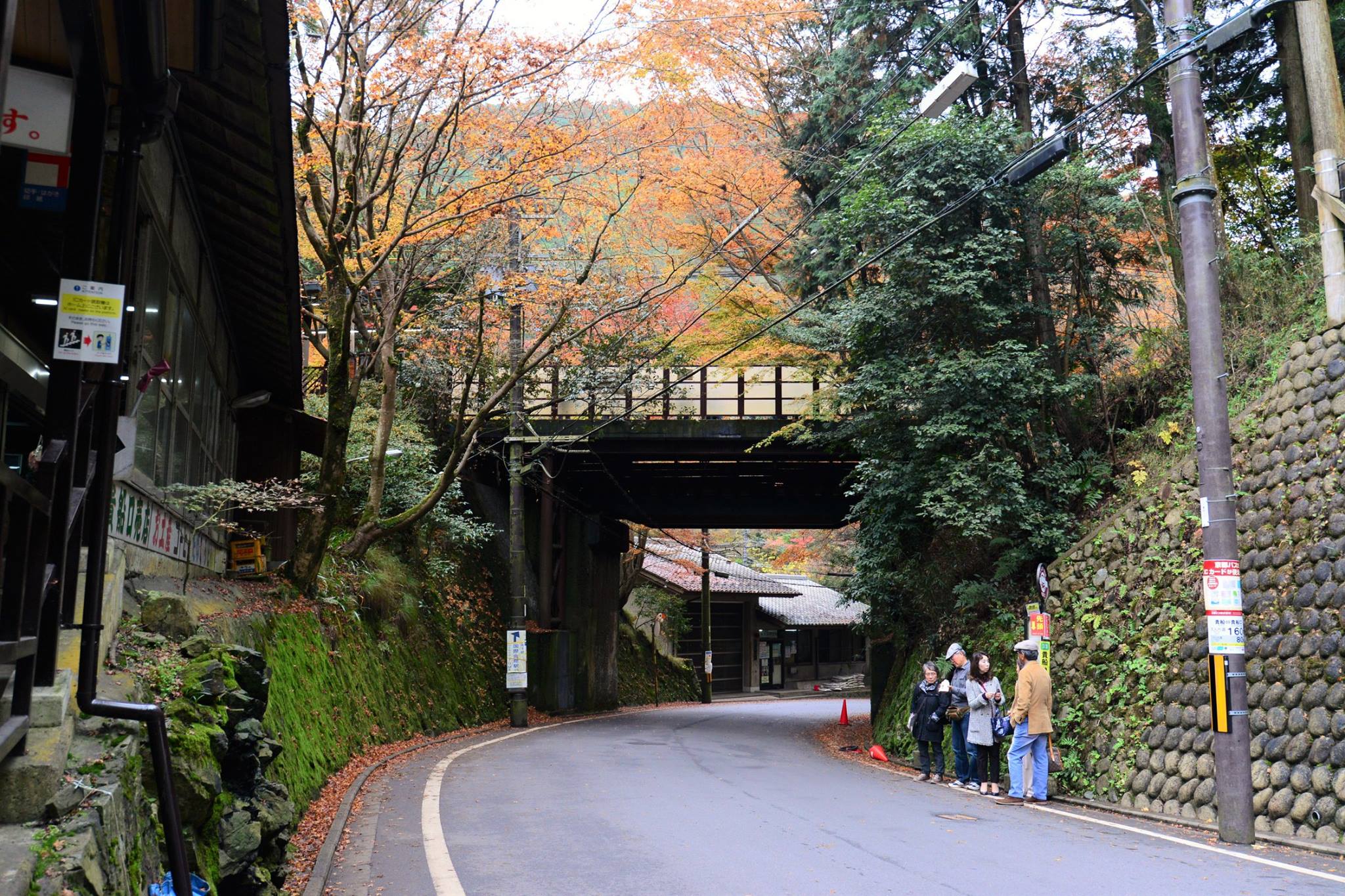 16836625_1745843185744672_1109746568560382398_o