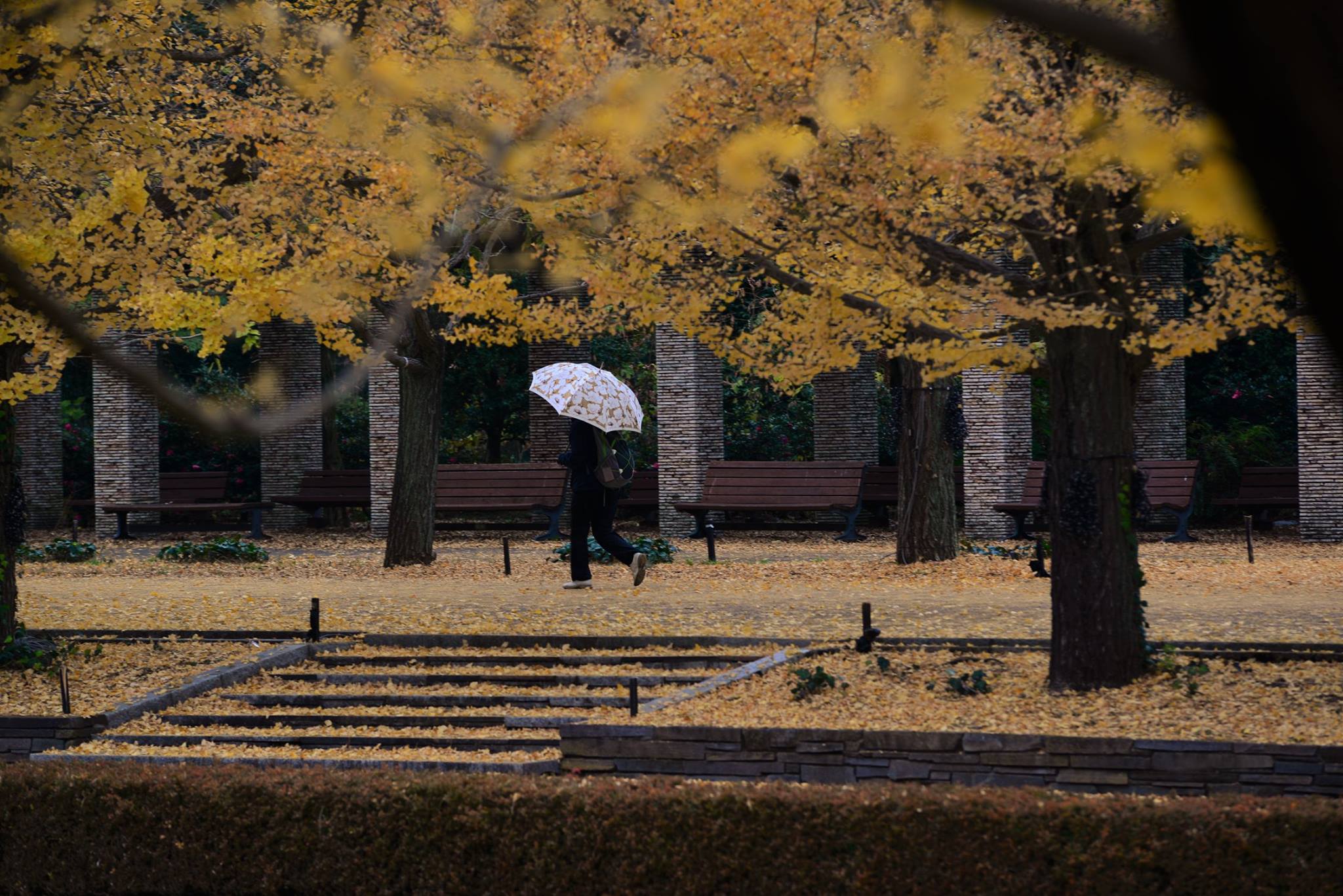 16903238_1743289432666714_7090836648796441217_o