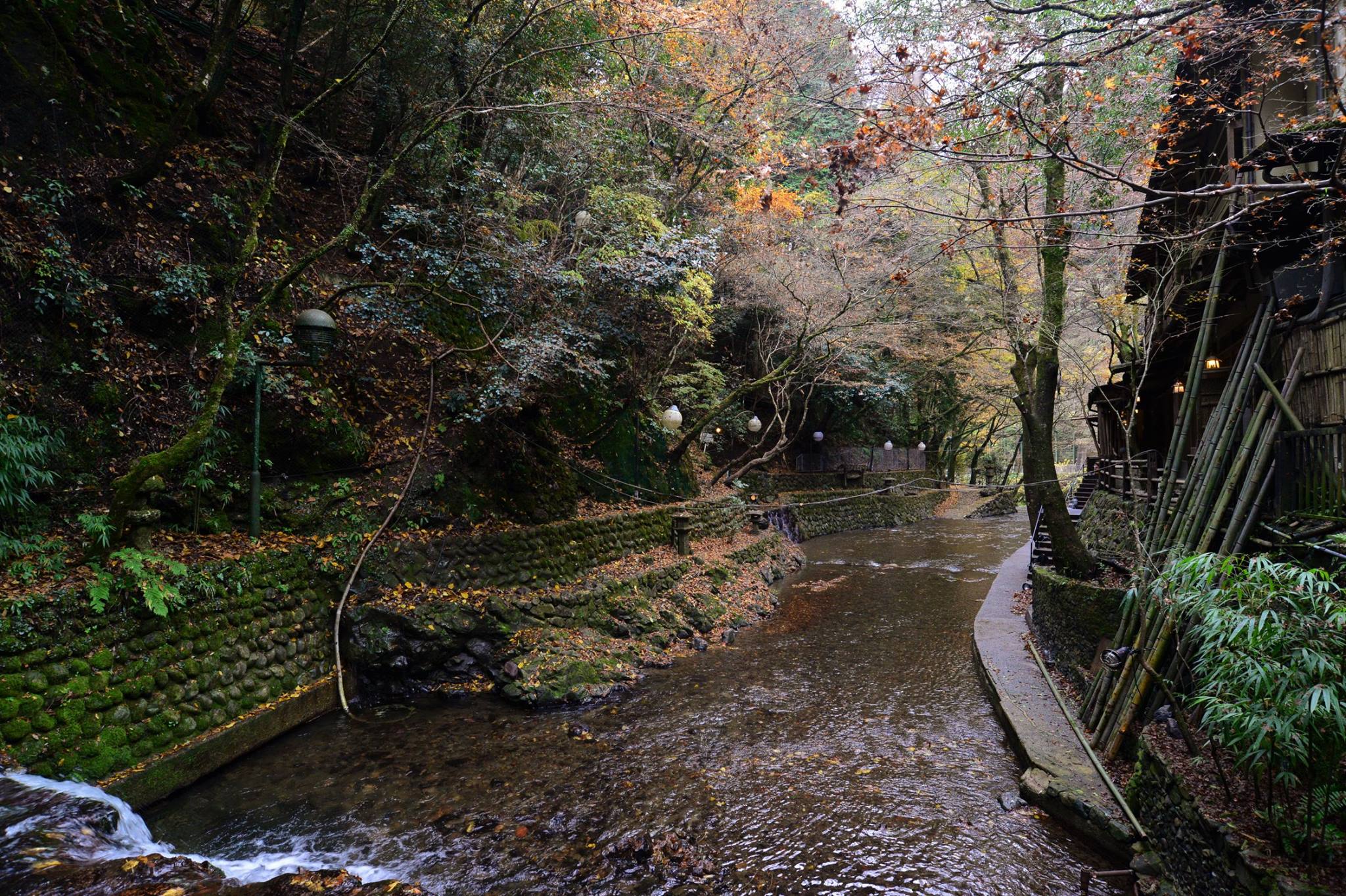 16903331_1745843362411321_7941186208148766591_o