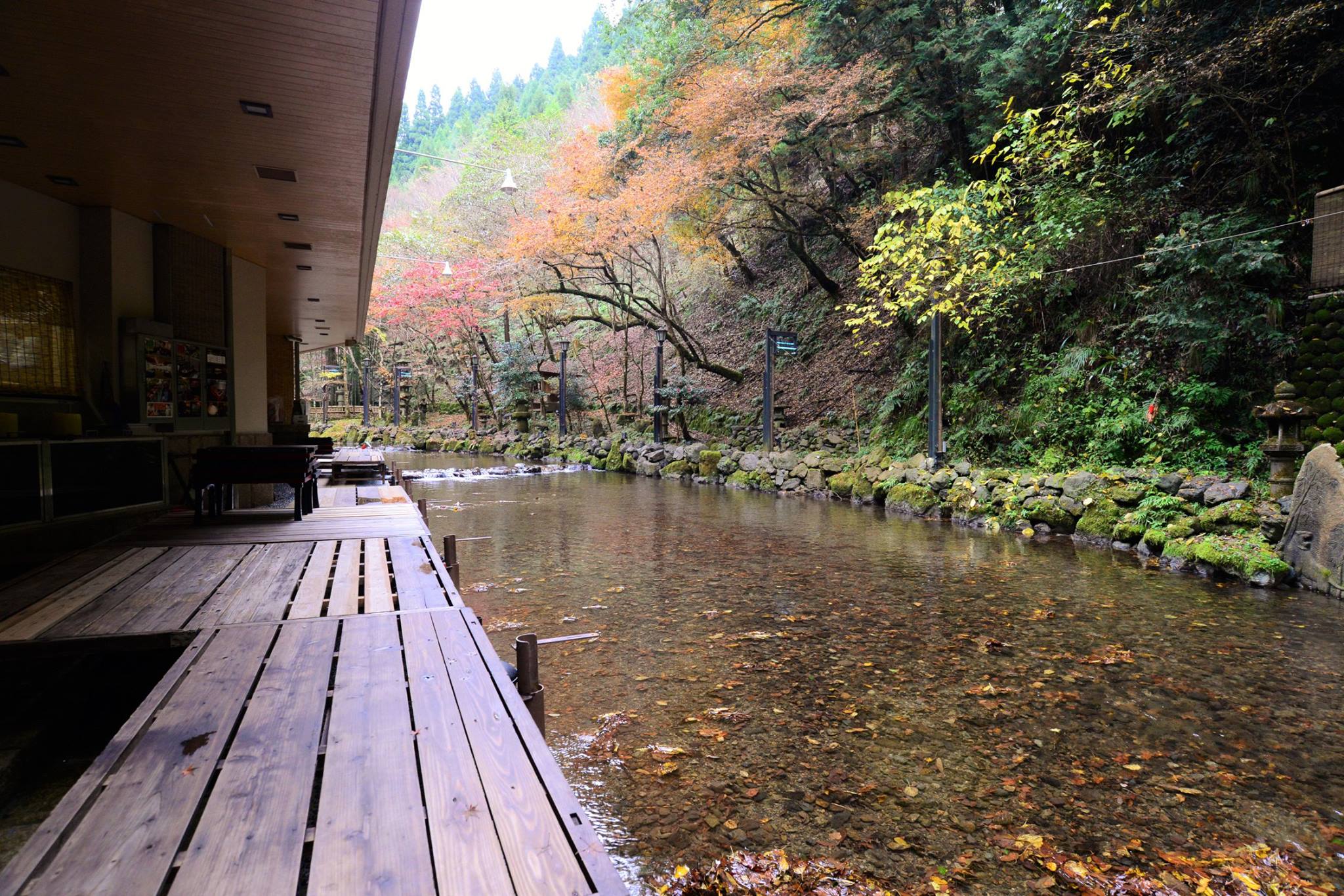 16903381_1745843395744651_6241896196368786704_o