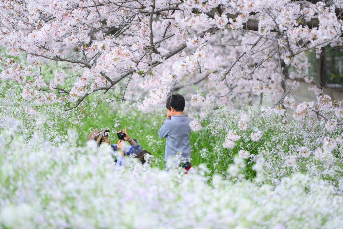 16904636_1748395245489466_7620559159535986484_o