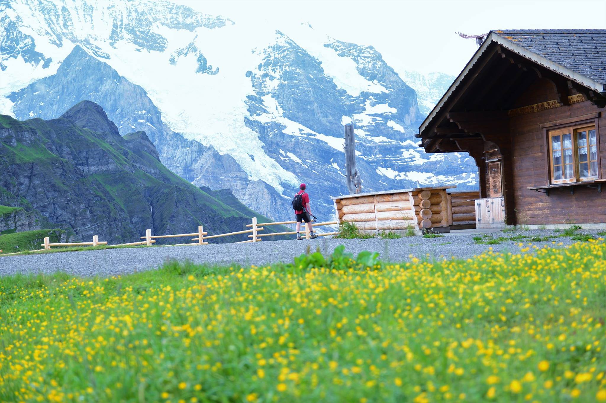 16904725_1747473455581645_4602514986431889553_o