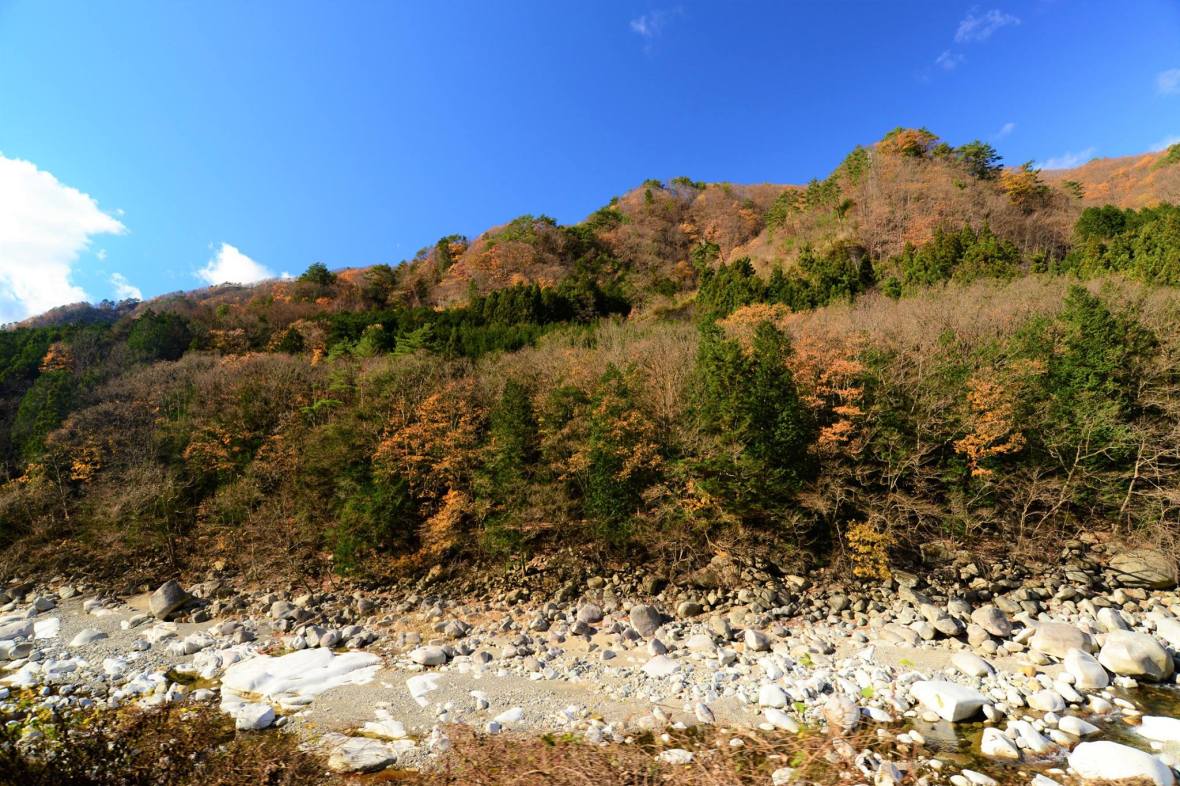 16905043_1744894429172881_8207101653461724166_o