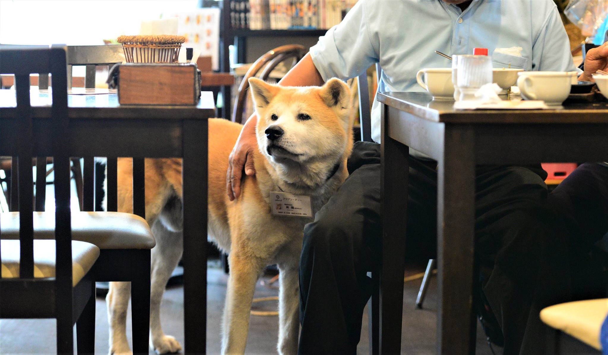 16905046_1746966538965670_2170317799174004808_o