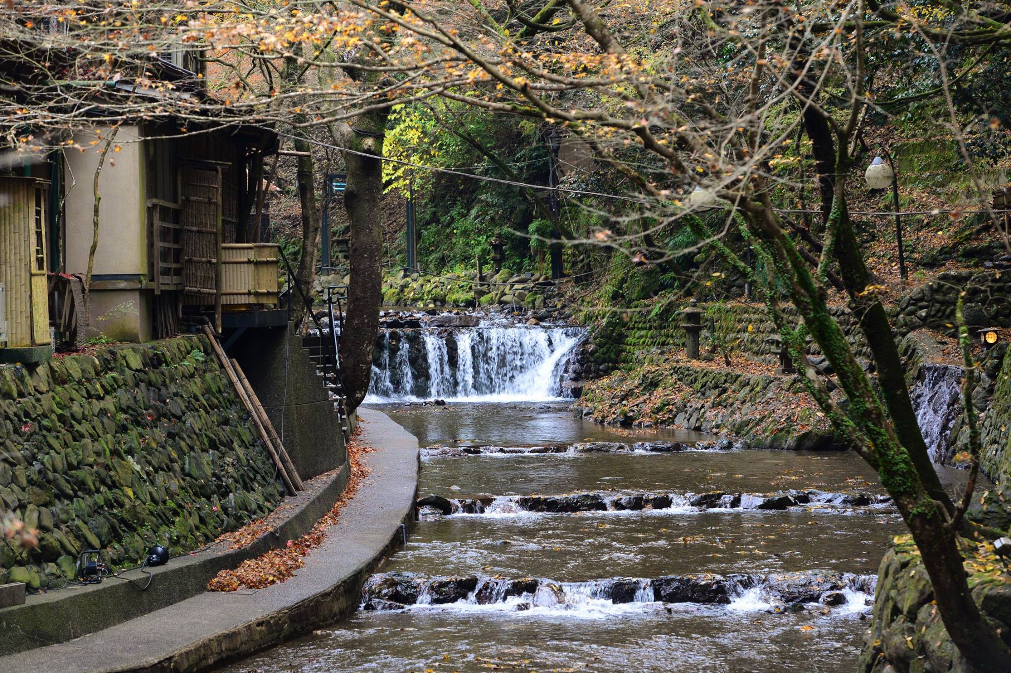 16991745_1745843512411306_3004903851432909869_o