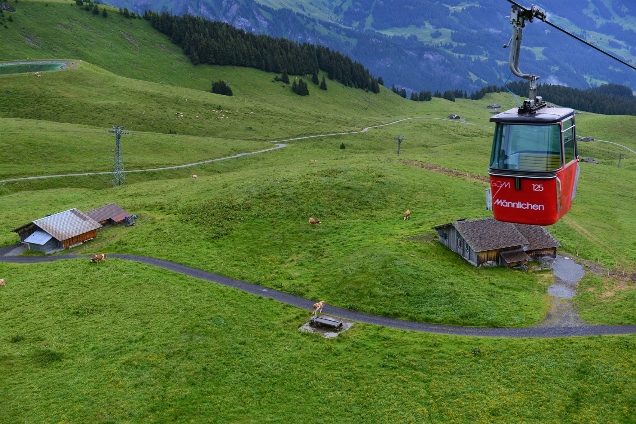 16992027_1747473242248333_2792307494992979214_o