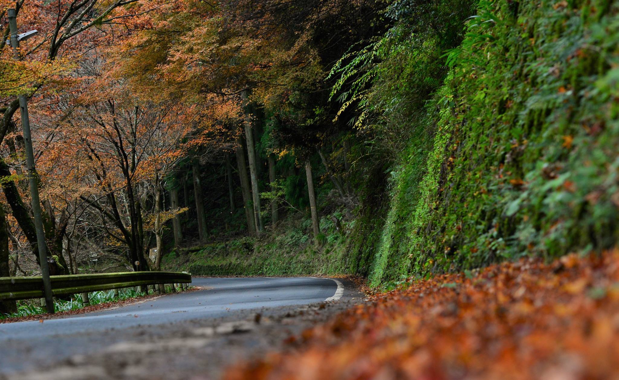 16992053_1745844045744586_8499457036110681661_o