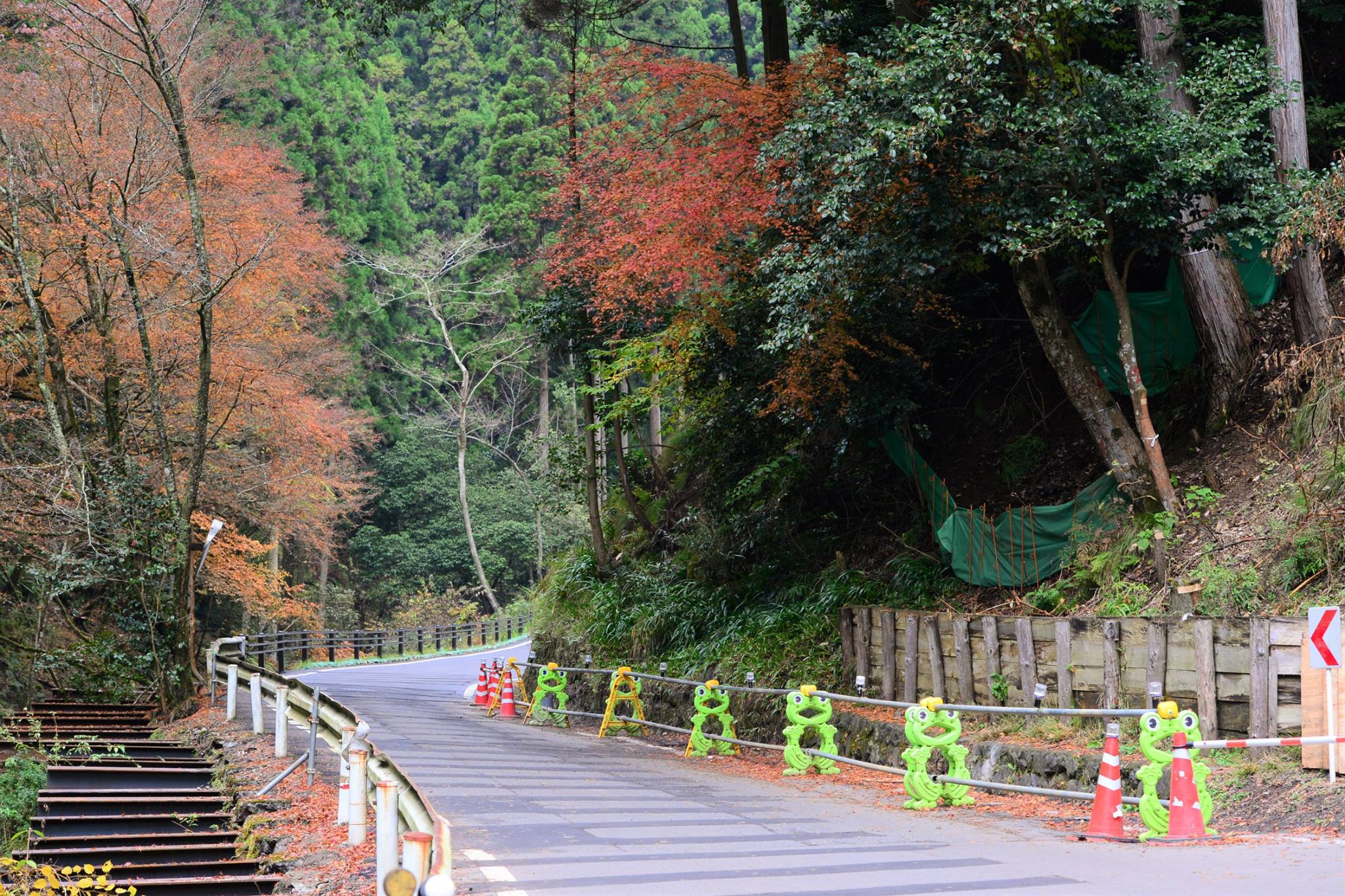 16992397_1745844095744581_9167097585619124612_o