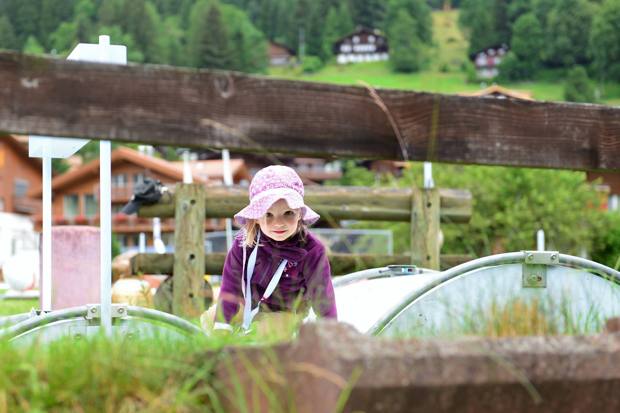 17038573_1747473648914959_6304217688566589007_o