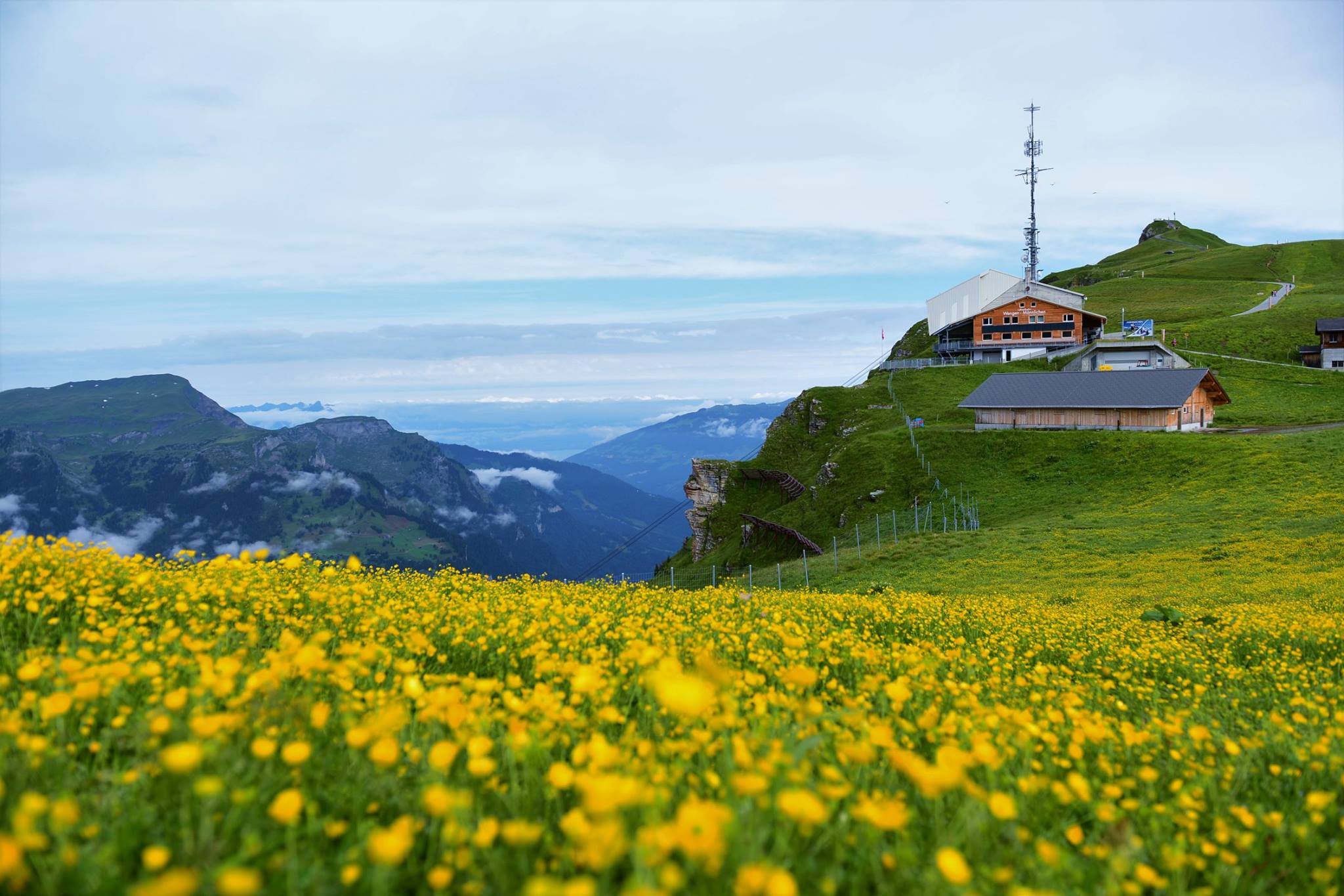 17038780_1747473502248307_4490833593671912634_o