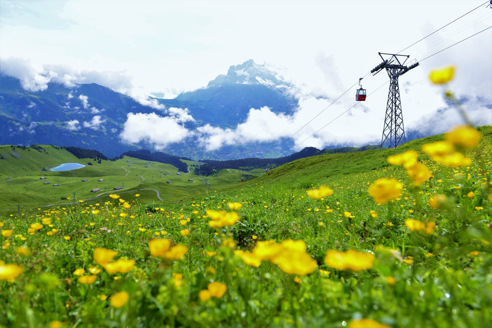 17039403_1747473775581613_2782828028389643861_o