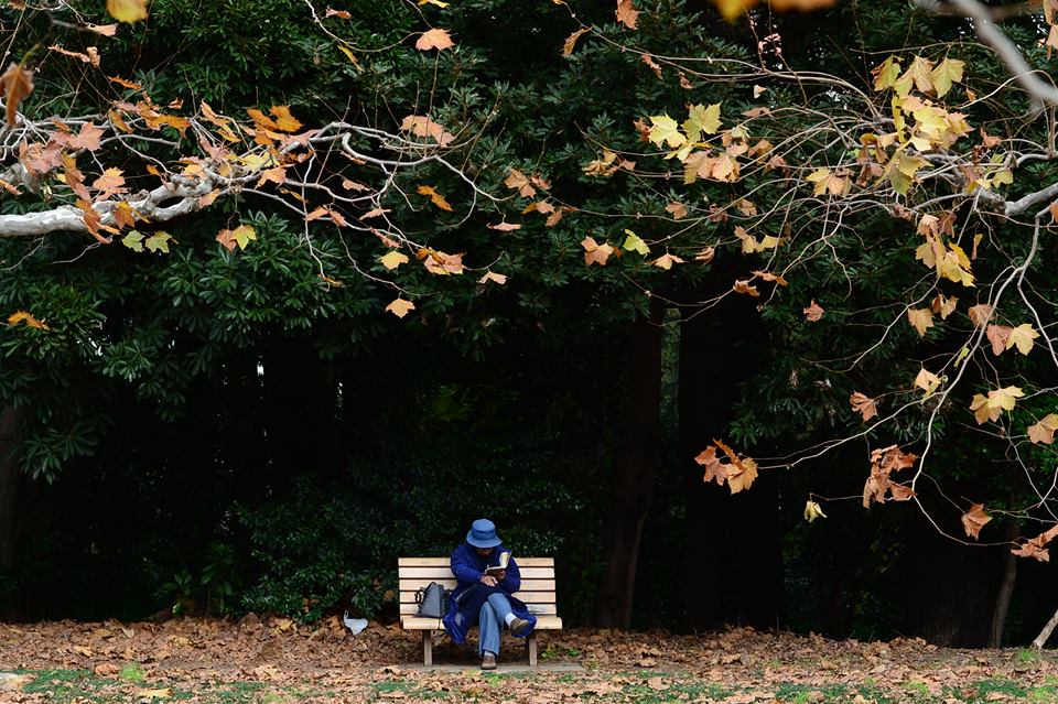 1936459_1514767835518876_2716787267875384618_n