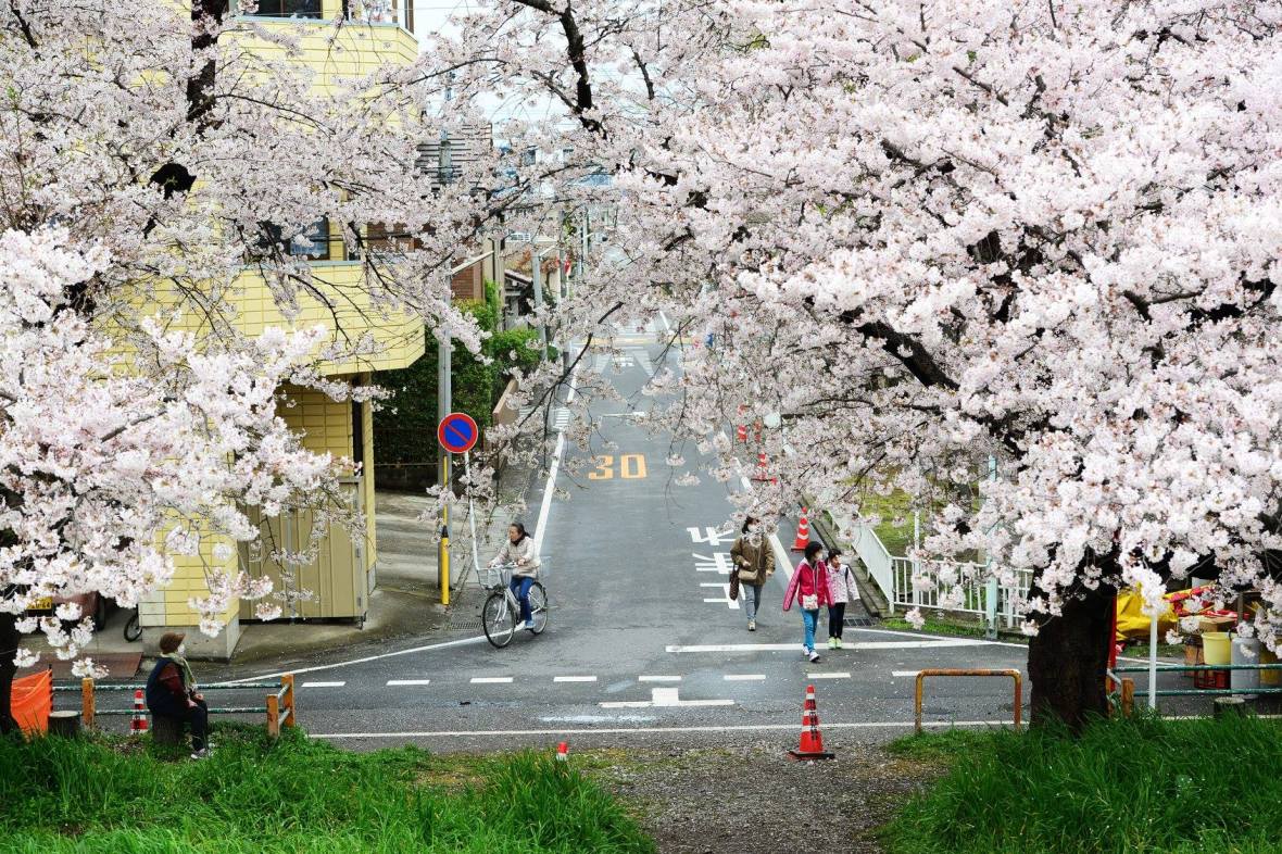 28516074_1936761986652790_3092488232885093843_o