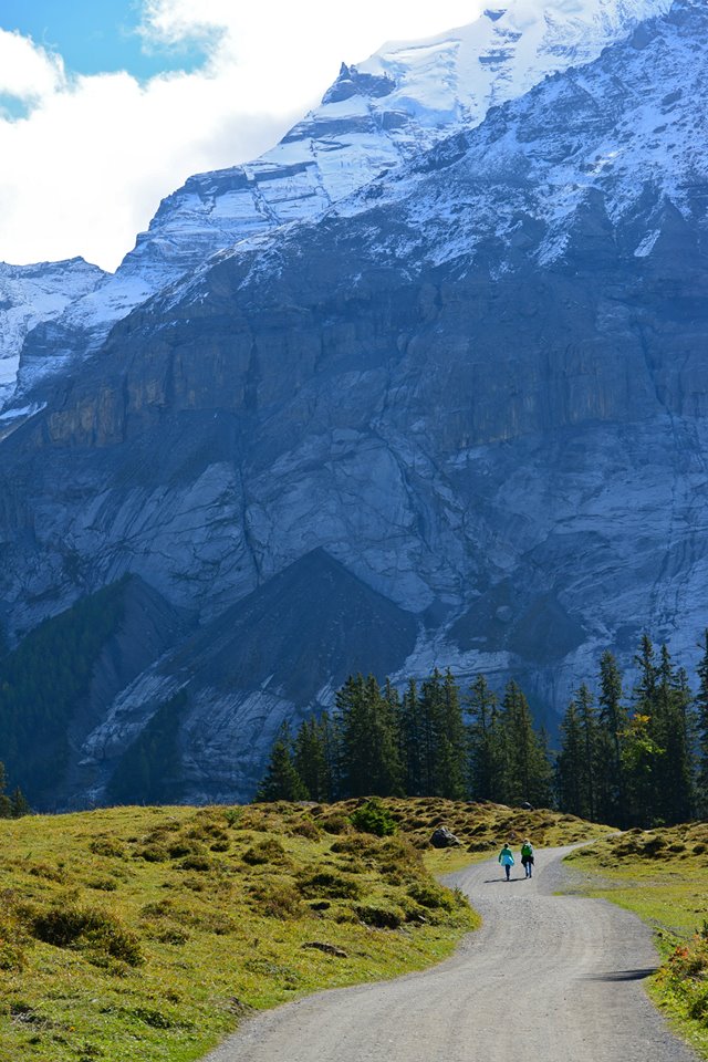 nwu0jd11dhwunjjkah8s-o