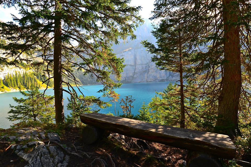 nwu1njf4k79tqvhbrva-o