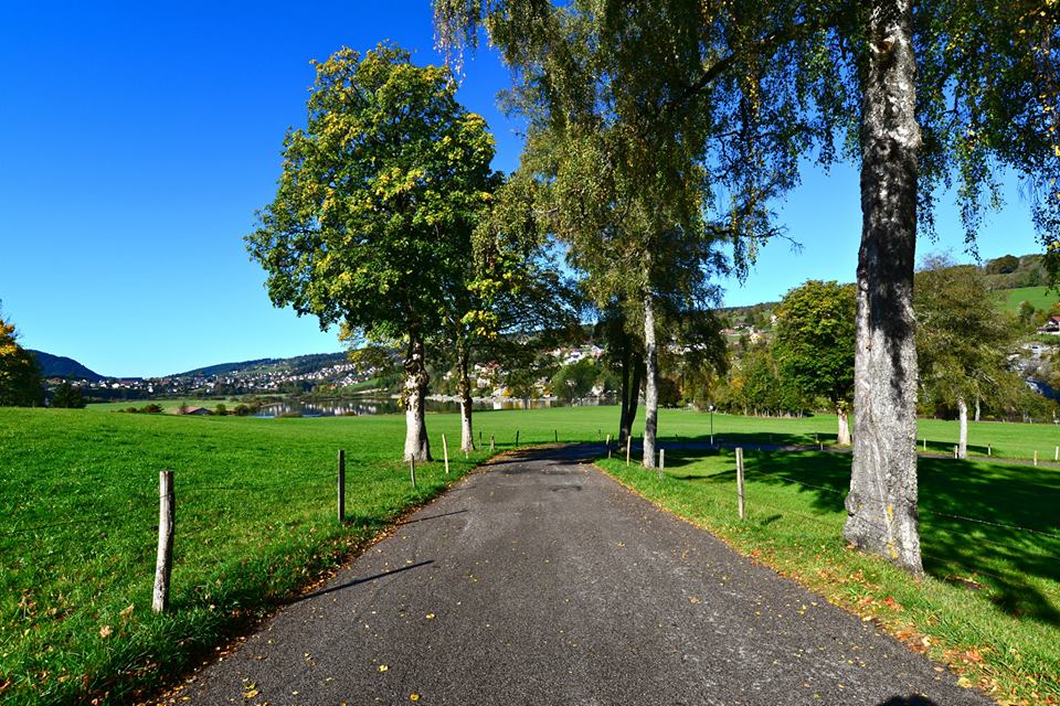 nwz2jmgt6yraee4y7ll-o