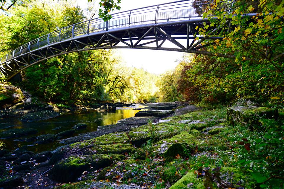 nwz383riaujddb9ihsr-o