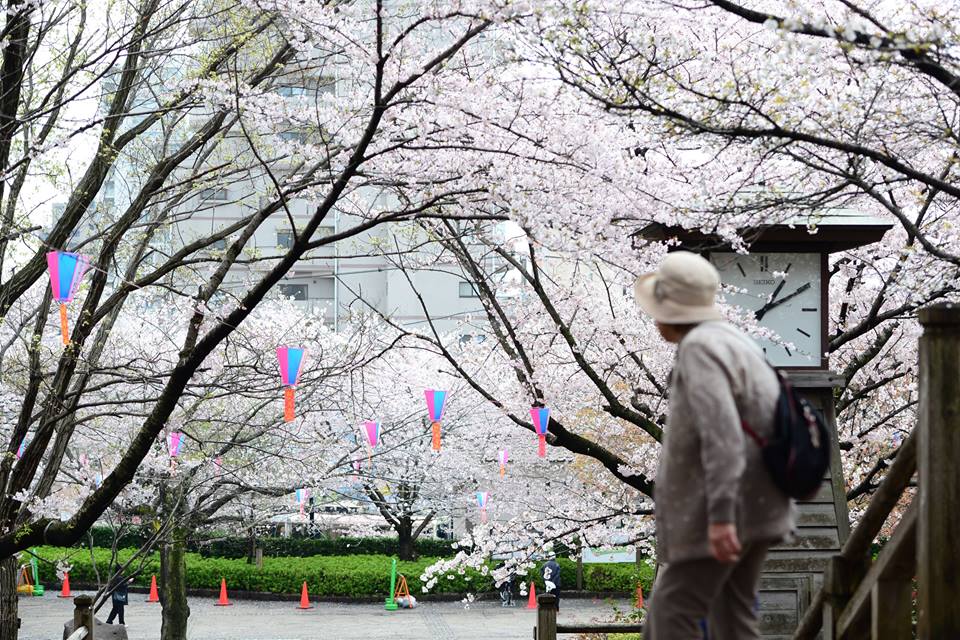 o81anohu17vbkwjtuez-o