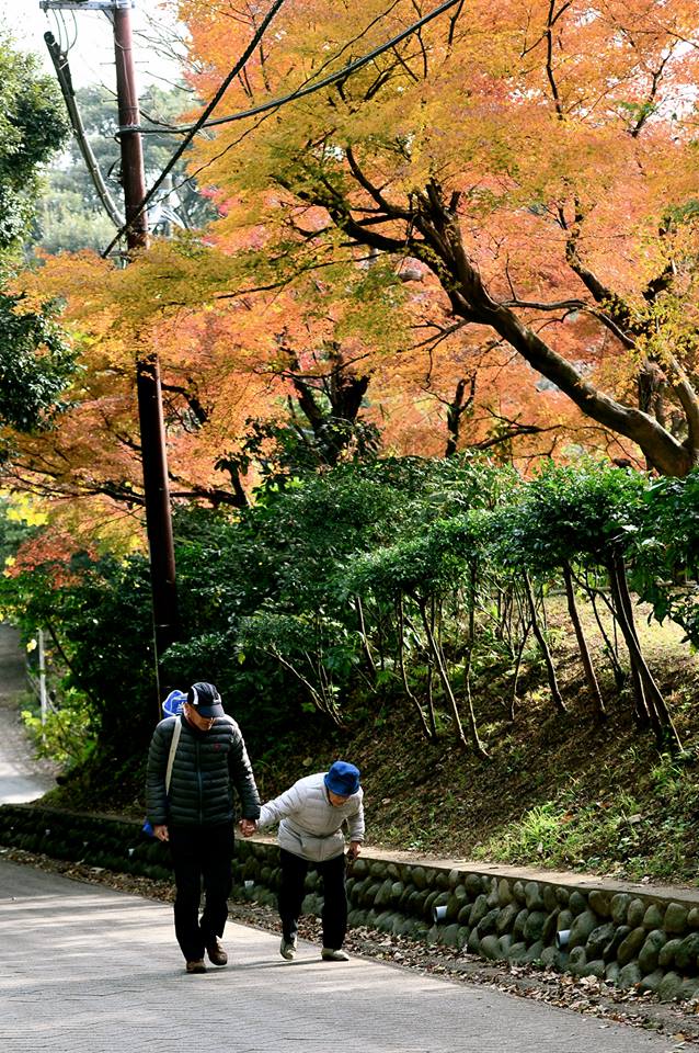 o81ap04dl6vhw69o5u4-o