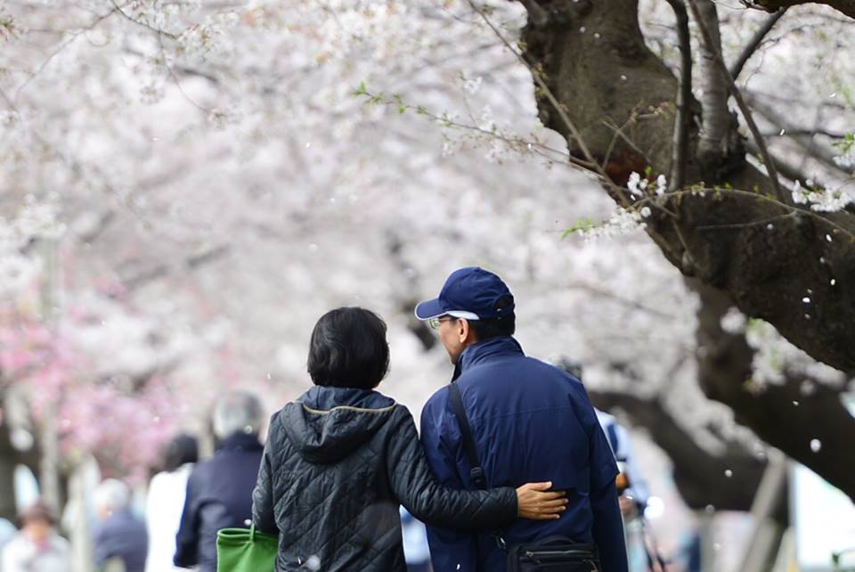 o81aqz4pf4vv4cmtty6-o