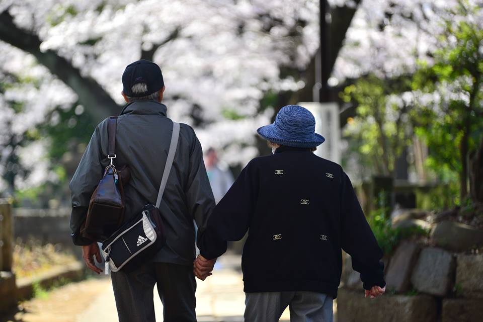 o81arh4petxbdalfx1n-o