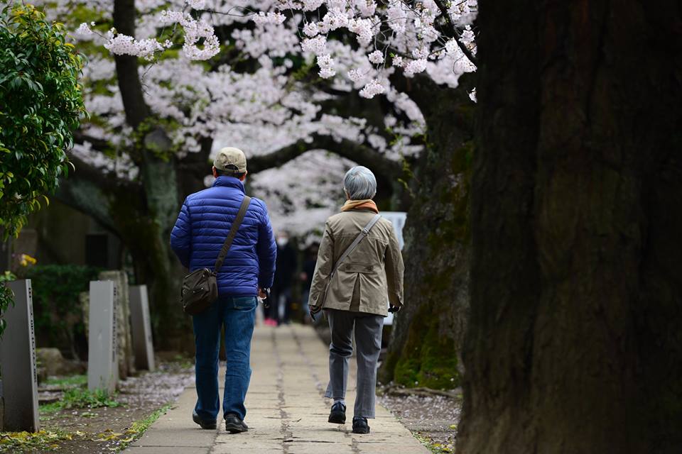 o81asoakuirbqtc9ppk-o