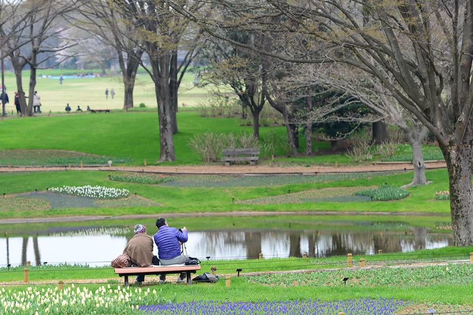 o81aubalhhx19lnf58w-o