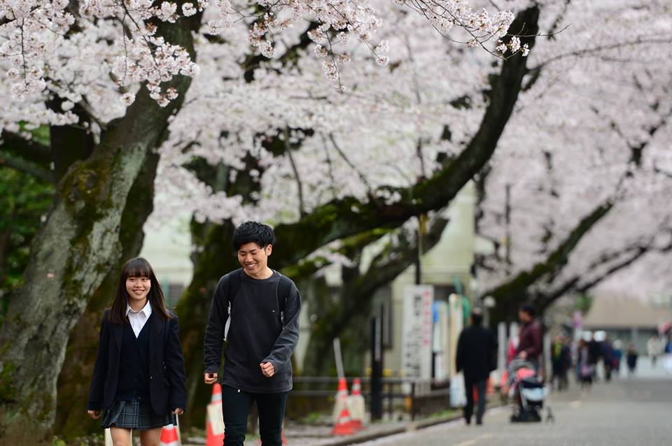 o81ave4dvti1afd2avd-o