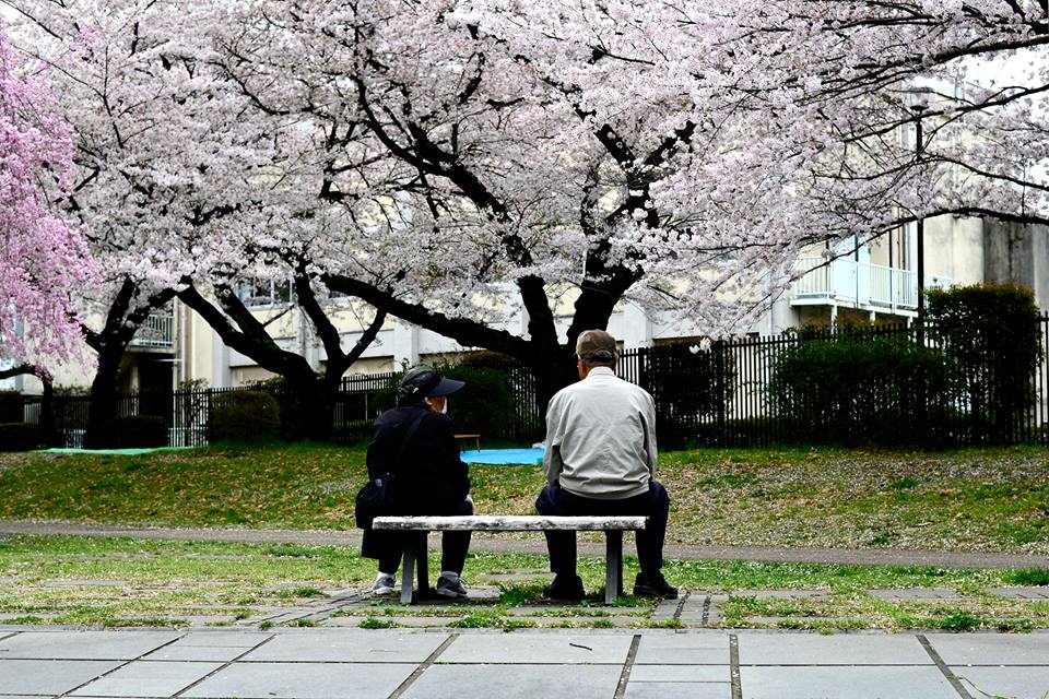 o81b5hah8fadm011z44-o