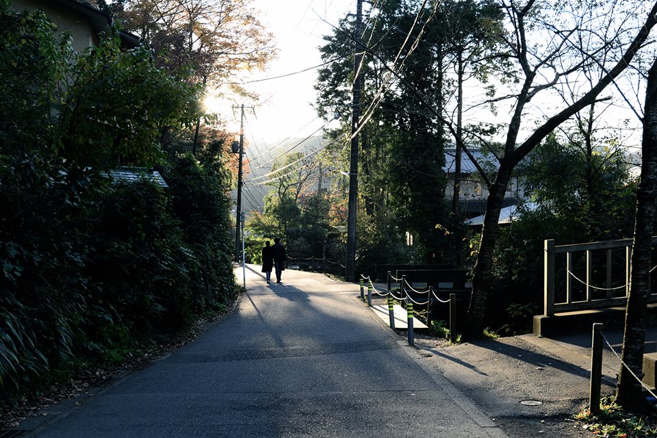 o81bm5otjsbqz1ydmea-o