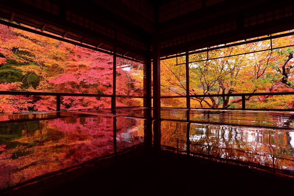 ohwcdf56znabkfixmyx-o