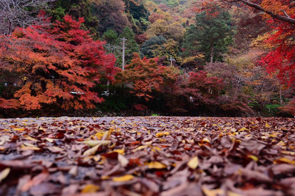 ohwe3a5wgkrgqag70fe-o