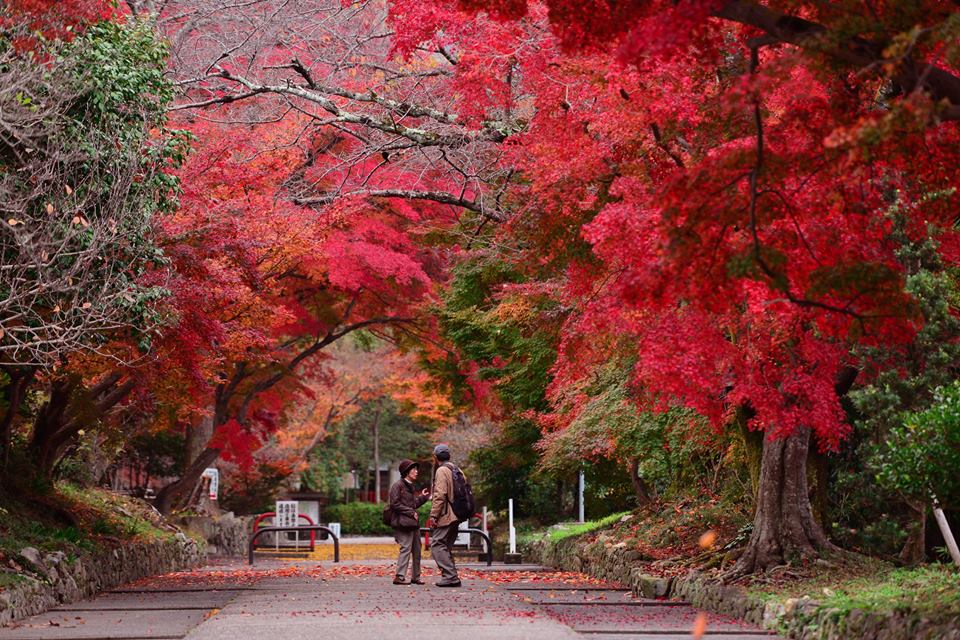 ohwekjcihpcc4yapp4m-o