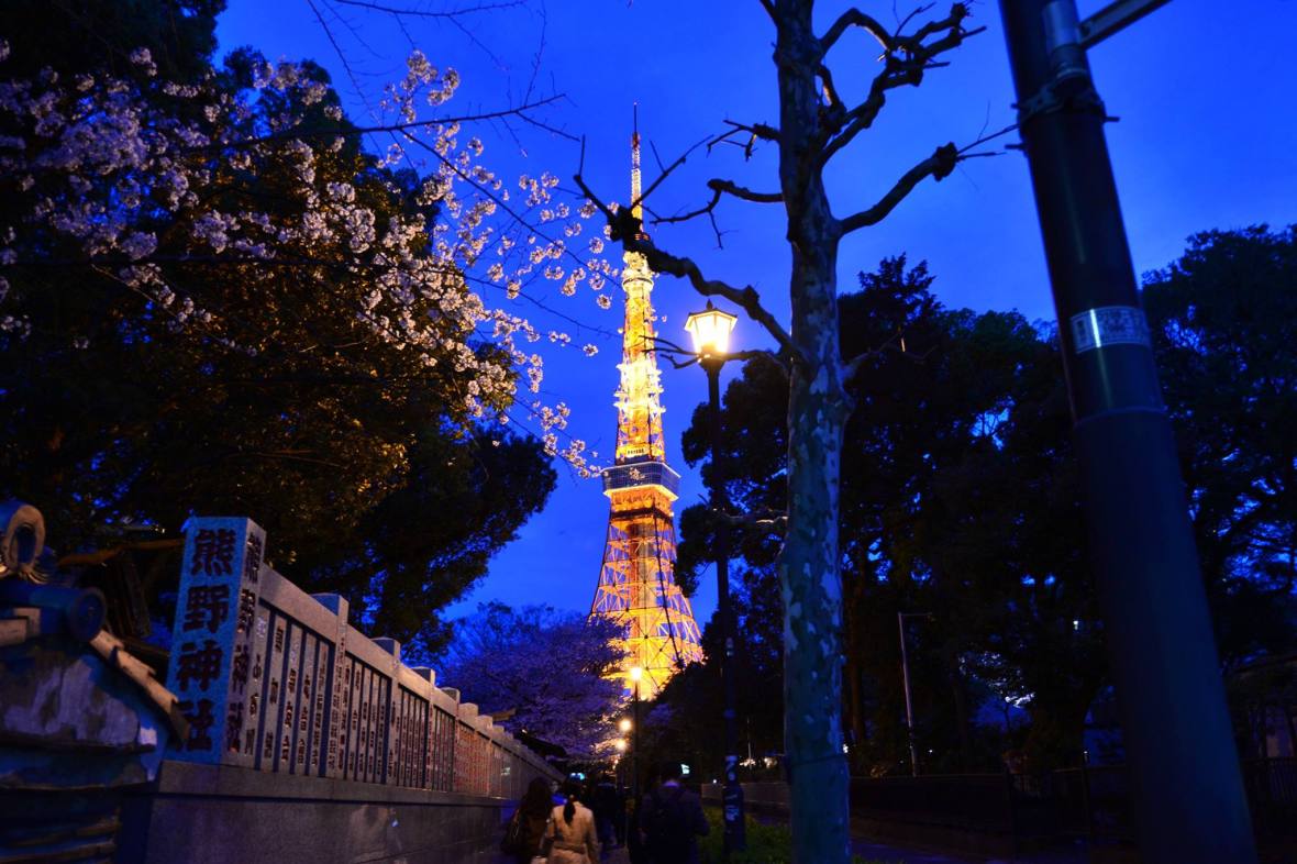 12671855_1207168695990313_8494205702542564304_o