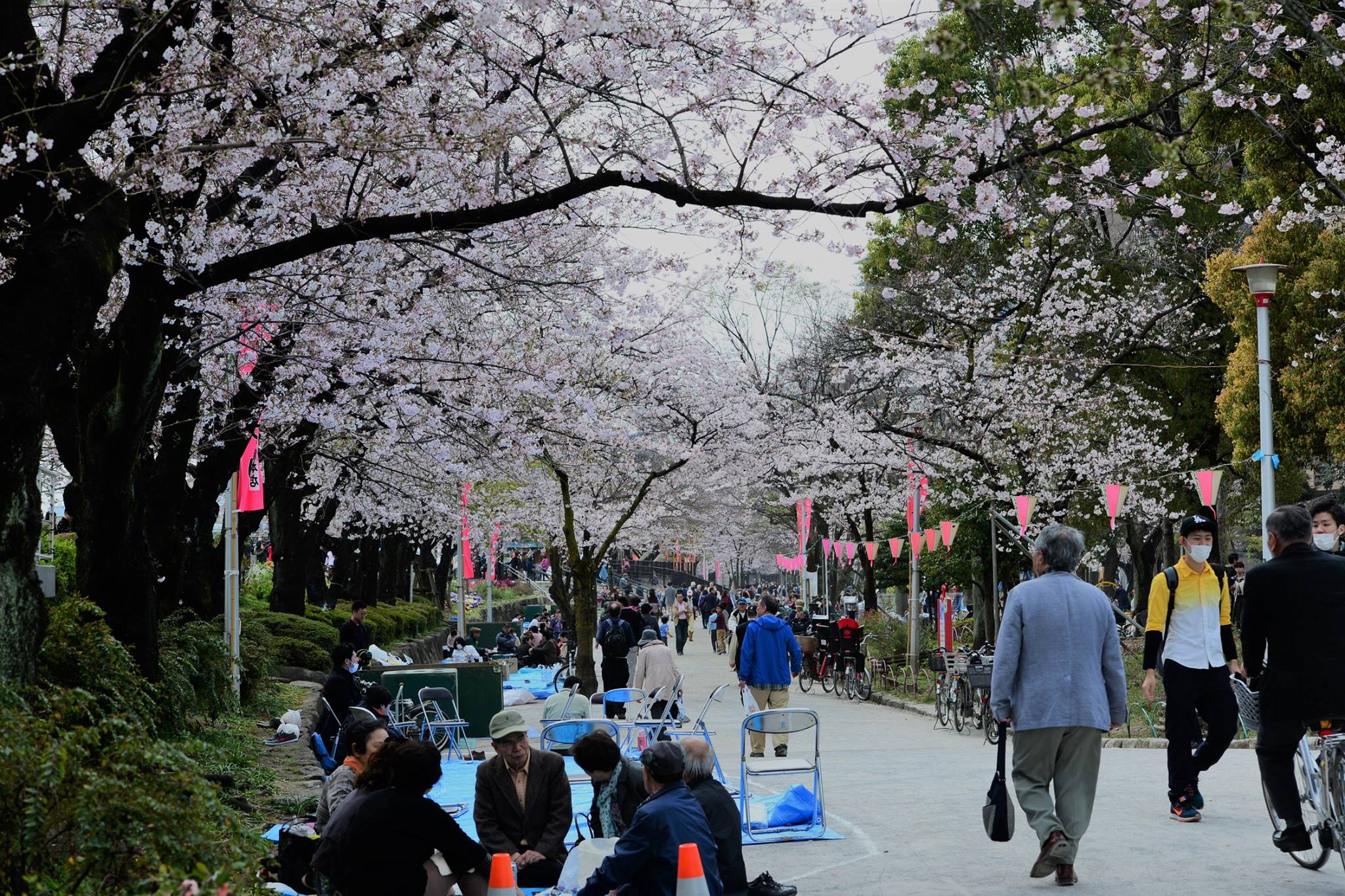 17310052_1759039811091676_4660498118482862246_o (1)