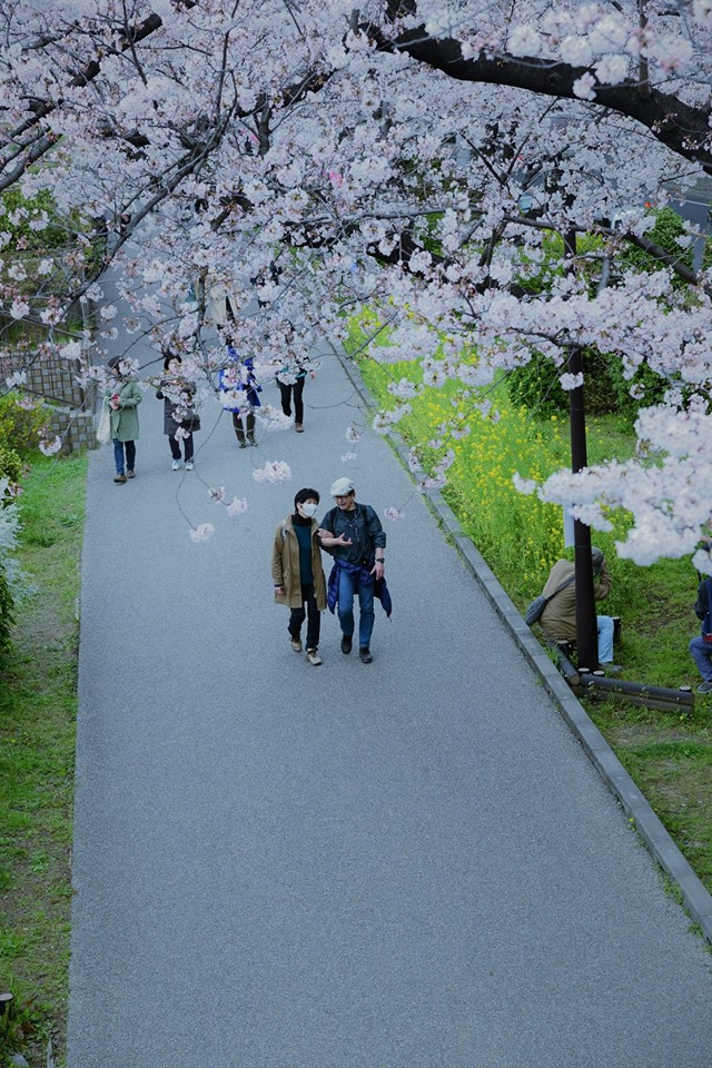 17389215_1759040004424990_1502297519462829732_o