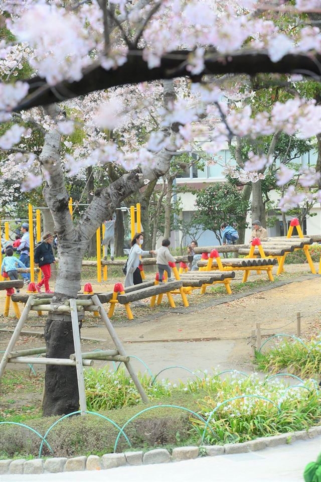 17390602_1759039807758343_8253685846792189682_o