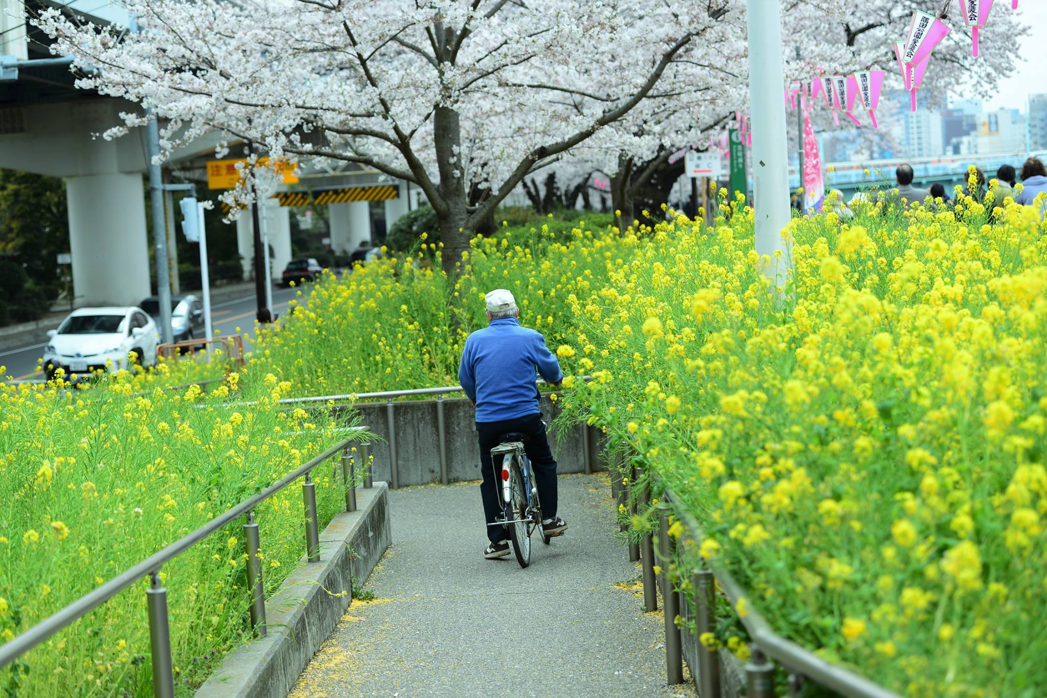 17434949_1759040057758318_7283043747924405649_o